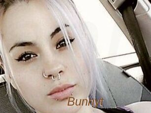 Bunny_t_