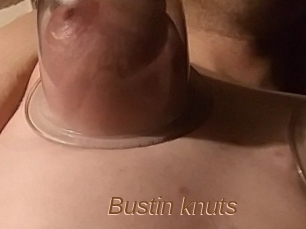 Bustin_knuts