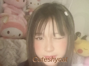 Cuteshycat