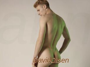 DavidOlsen