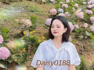 Daisy0188