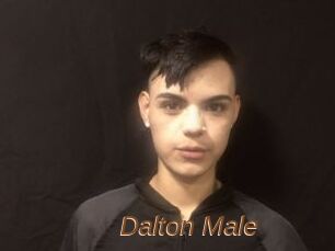 Dalton_Male