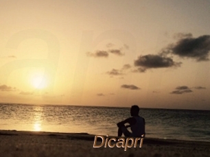 Dicapri