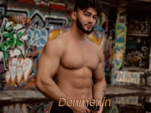 Donmerlin