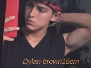 Dylan_brown15cm