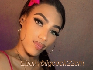 Ebonybiigcock22cm