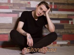 Eitonmouse