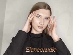 Elenecaudle