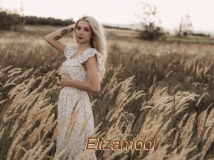 Elizamool