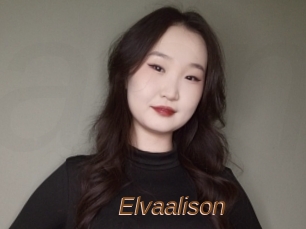 Elvaalison