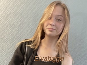 Elvabigge