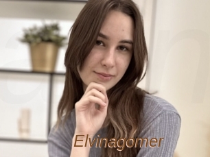 Elvinagomer