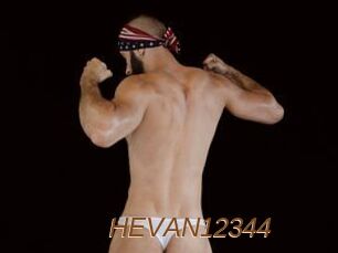 HEVAN12344