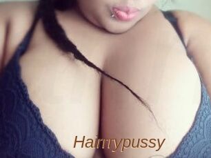 Hairrrypussy