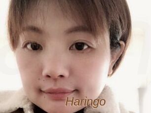 Haringo