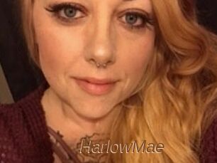 Harlow_Mae