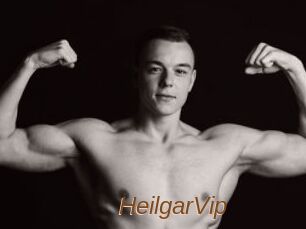 HeilgarVip