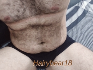 Hairybear18