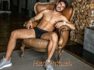 Hamermusk