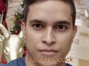 Harold_bigcock