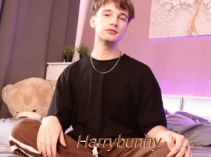 Harrybunny