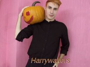 Harrywalters