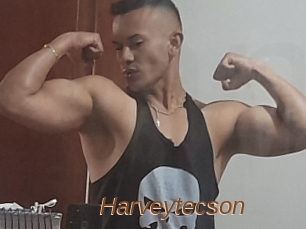 Harveytecson