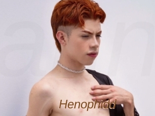 Henophidd