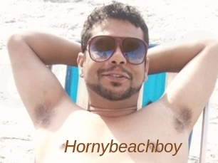 Hornybeachboy