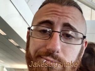 Jakesbigsnake