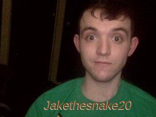 Jakethesnake20