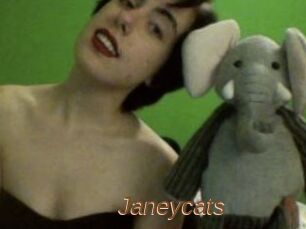 Janeycats