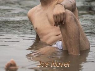 Joe_Novel