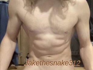 Jakethesnake312