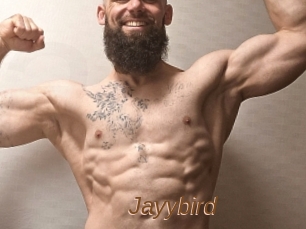 Jayybird