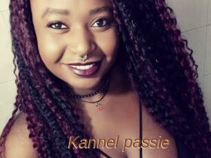 Kannel_passie