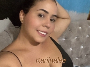 Kariinalee