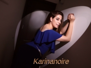 Karinanoire