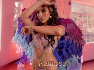 Kattrose