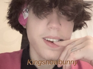 Kingsnowbunny