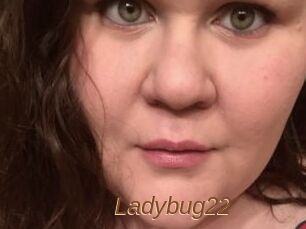 Ladybug22