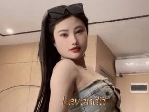 Lavende