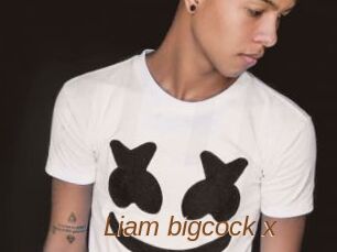 Liam_bigcock_x
