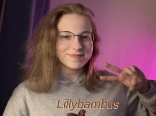 Lillybambus