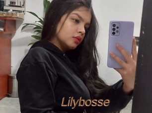 Lilybosse