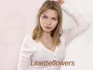 Linetteflowers