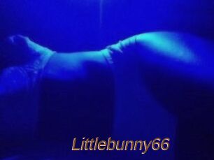 Littlebunny66