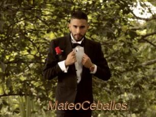 MateoCeballos