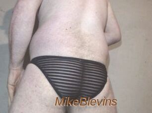 Mike_Blevins