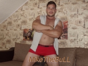 MikeTheBuLL